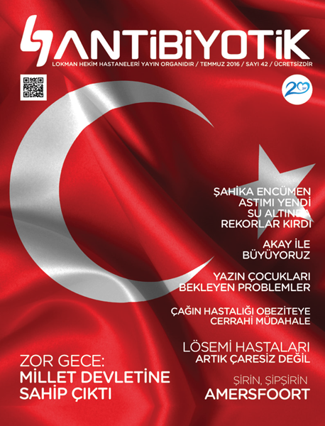 Lokman Hekim Sağlık Grubu 