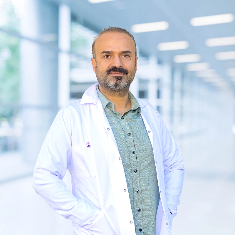 Lokman Hekim Sağlık Grubu - 