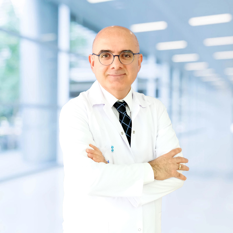 Prof. Dr. Hüseyin SİNAN
