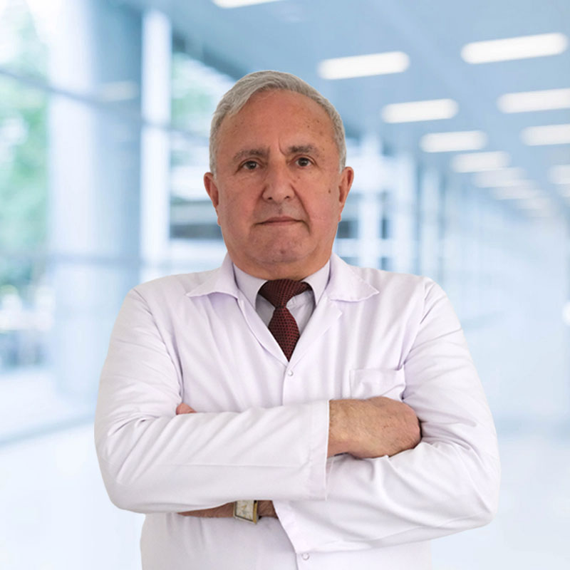 Lokman Hekim Sağlık Grubu - 